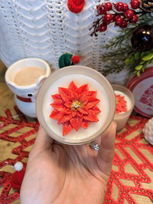 Sójová svíčka Vánoční Hvězda