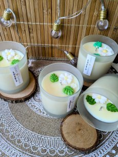 Sójová svíčka Citronella | Vůně: citronella