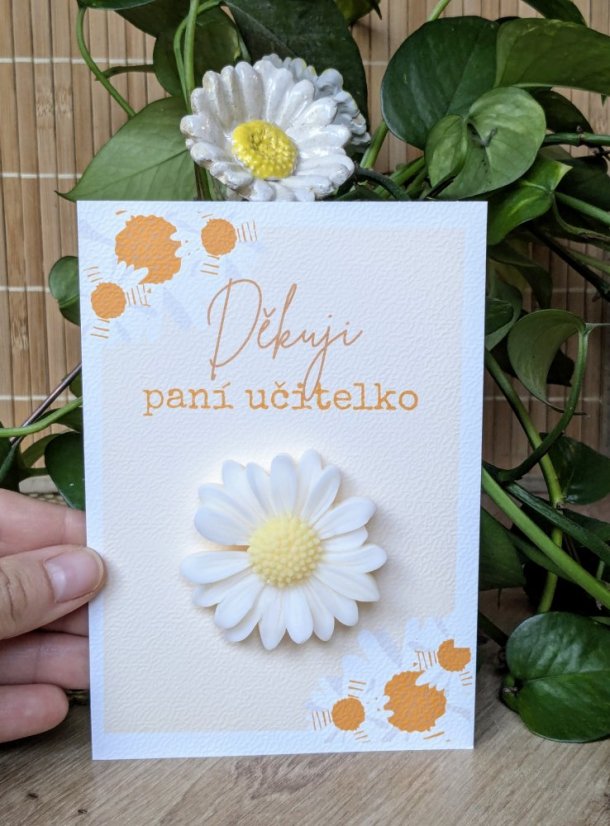 Vonný vosk - dárek pro učitelku/asistentku - Typ: Růžové přáníčko, růžová sedmikráska, vůně: levandule 