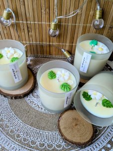 Sójová svíčka Citronella | Vůně: citronella